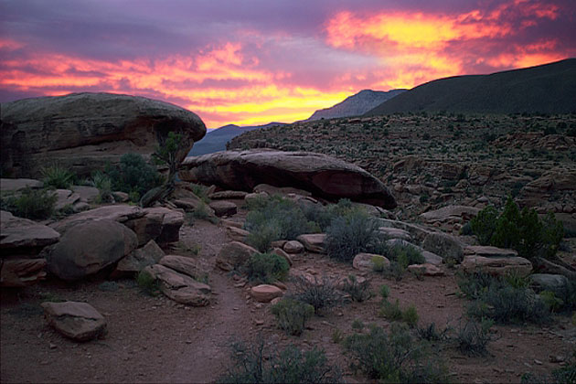 Toroweap Overlook