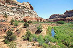 Calf Creek Trail