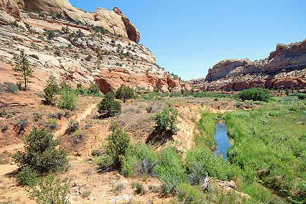 Calf Creek Trail