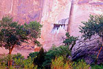 Coyote Gulch