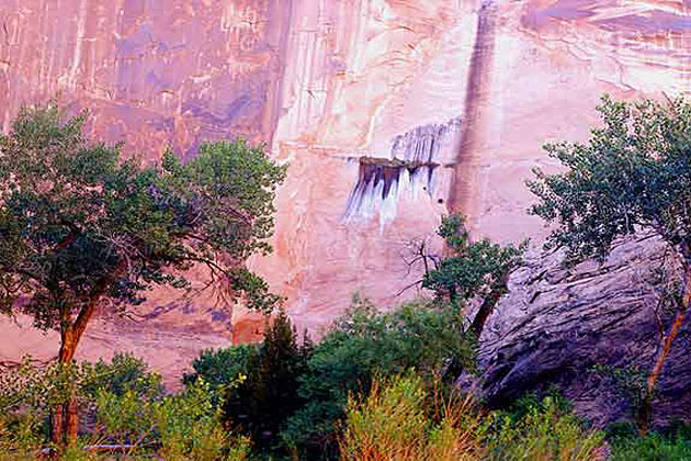 Coyote Gulch