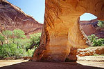 Coyote Natural Bridge