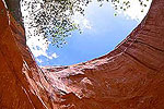 Coyote Gulch