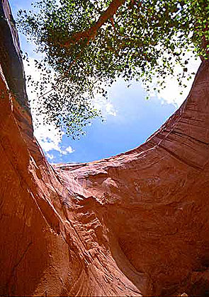 Coyote Gulch