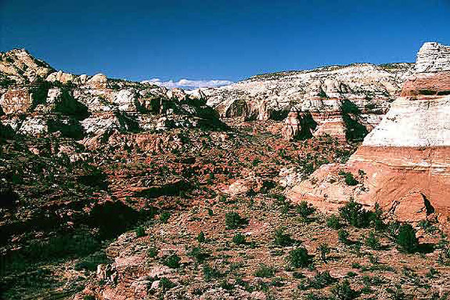 Calf Creek