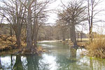 Guadalupe River