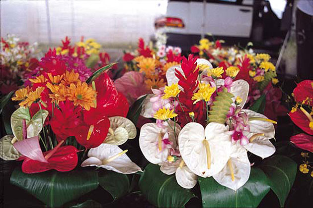 Hawaii