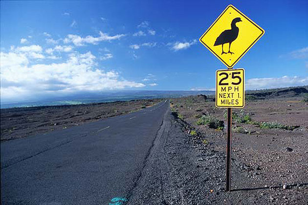 Hawaii