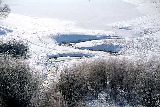 Snowy Creek