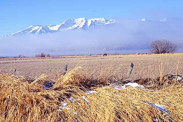 Mt. Timpanogos