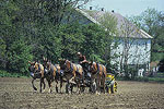 Lancaster Farm