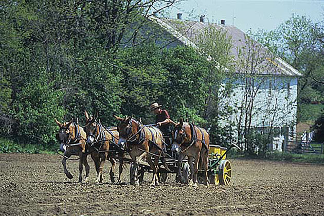 Lancaster Farm