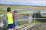 Joe Hogan Fish Hatchery, Lonoke