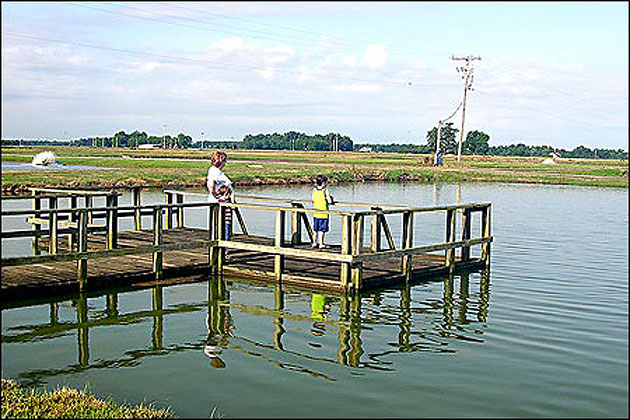 Joe Hogan Fish Hatchery, Lonoke