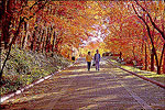 Autumn in Hot Springs National Park