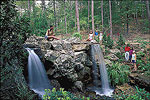 Garvan Woodland Gardens in Hot Springs