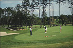 Golfing in Hot Springs