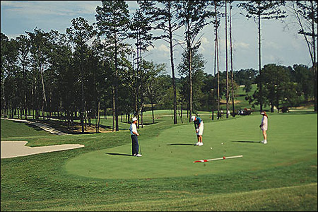 Golfing in Hot Springs