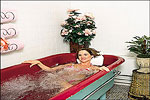 Velda Rose Spa, Hot Springs