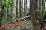 Hunting in Arkansas