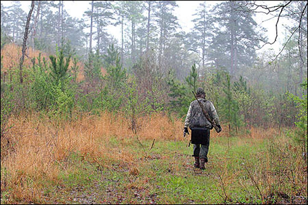 Hunting in Arkansas