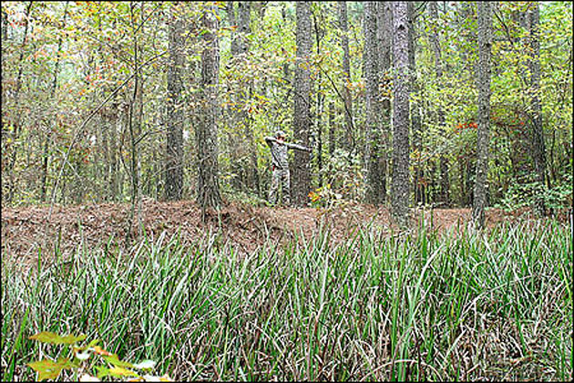 Hunting in Arkansas