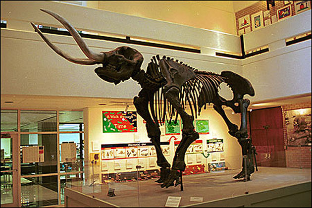 Arkansas State University Museum