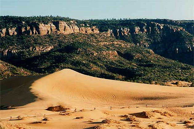 Coral Pink Sand Dunes