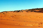 Coral Pink Sand Dunes