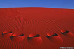 Coral Pink Dunes