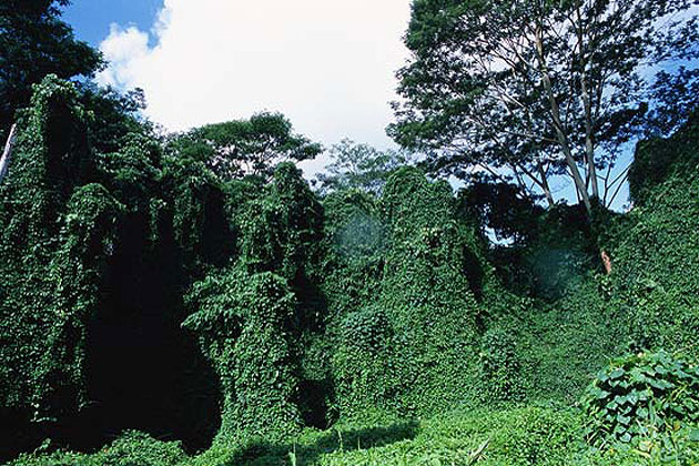 Kauai