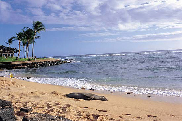 Kauai