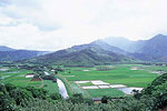 Kauai