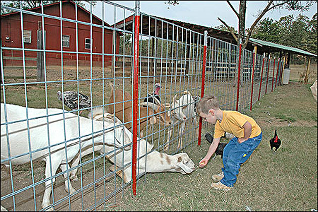 Pickles Gap Village