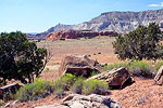 Desert Landscape