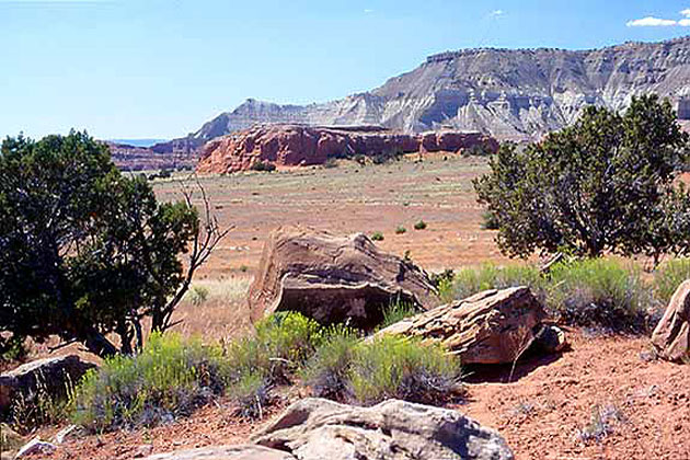 Desert Landscape