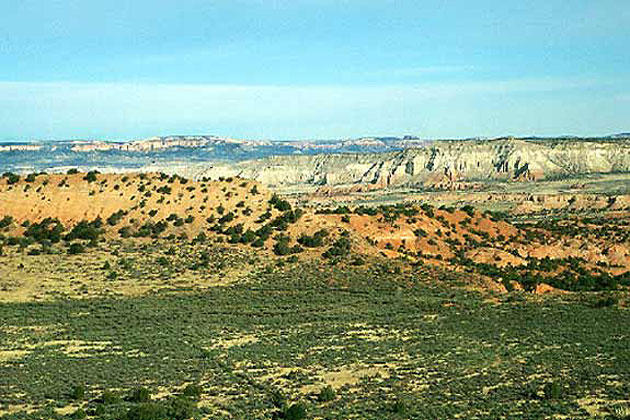 Desert Scenery