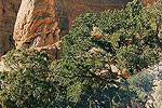 Kodachrome Basin Campground