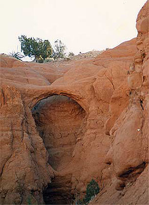 Shakespeare Arch