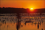 Lake Conway
