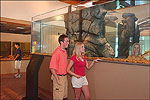 Lake Dardanelle State Park