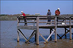 Lake Frierson State Park