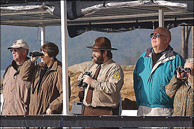 Eagle watching, Lake Ouachita State Park