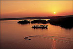 Lake Ouachita sunset