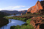 Verdant Channel