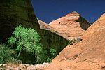 Rainbow Bridge Trail