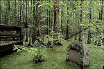Louisiana Purchase State Park near Brinkley