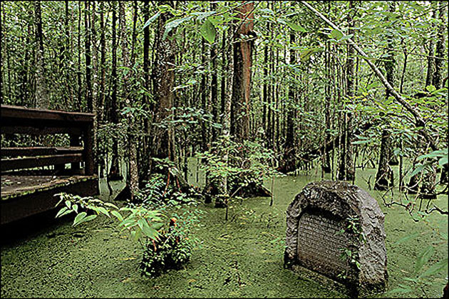 Louisiana Purchase State Park near Brinkley