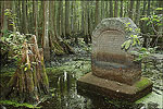 Louisiana Purchase State Park