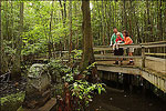 Louisiana Purchase State Park near Brinkley